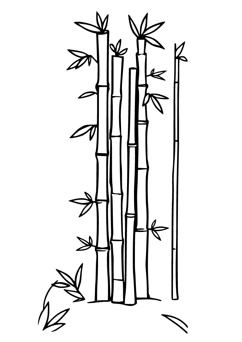 Printable bamboo coloring page for kids