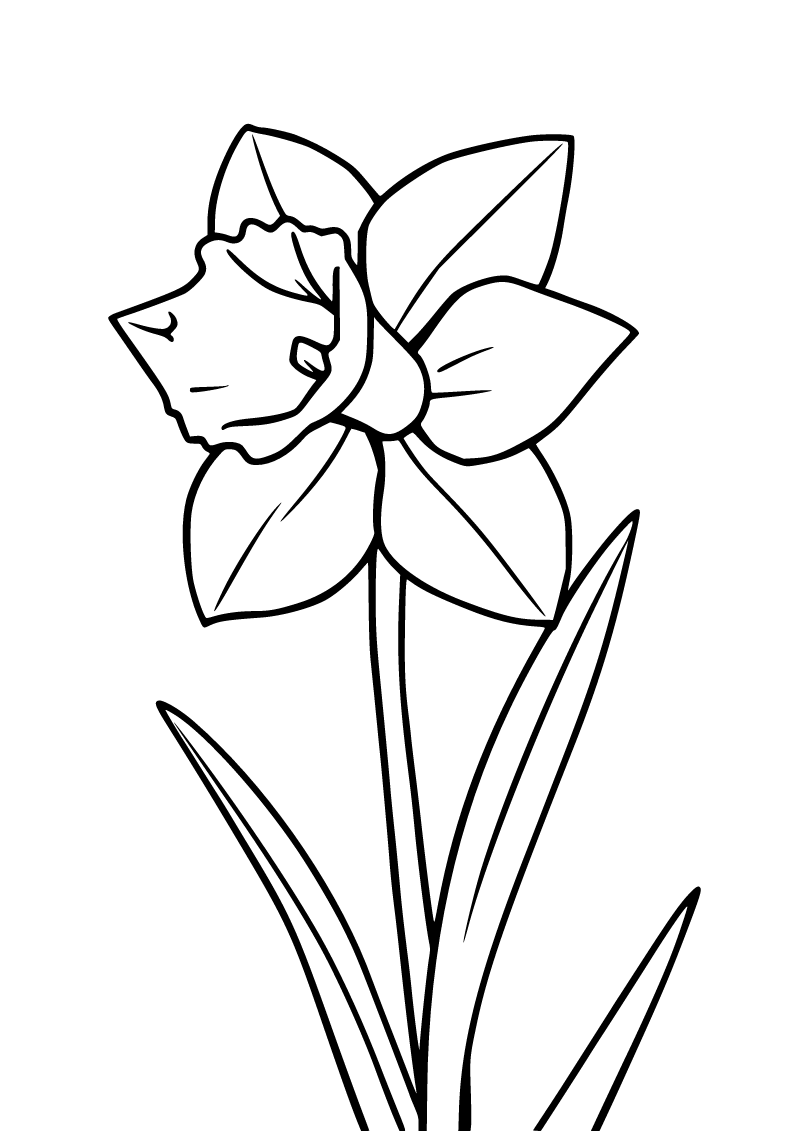 Printable daffodil coloring page for kids