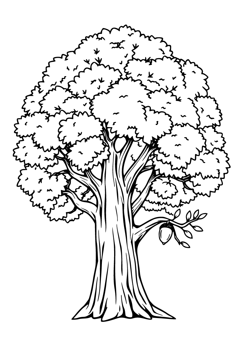 Printable oak tree coloring page for kids