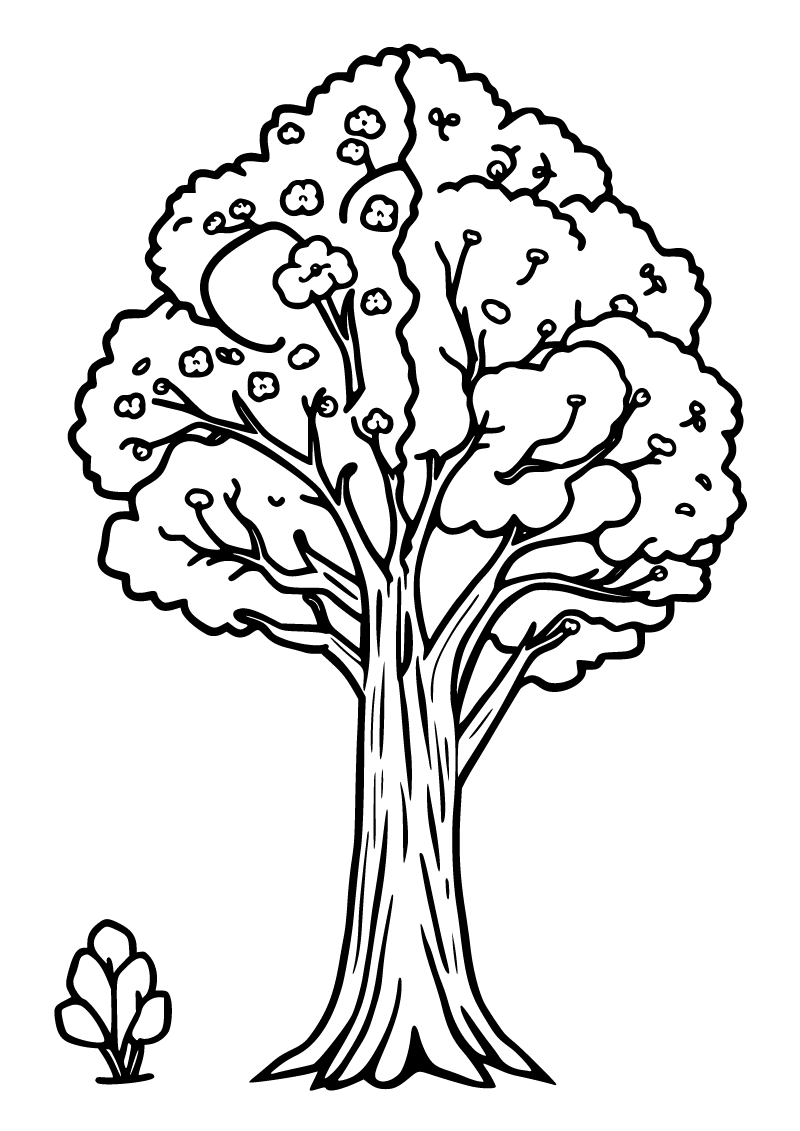 Printable four seasons tree coloring page for kids
